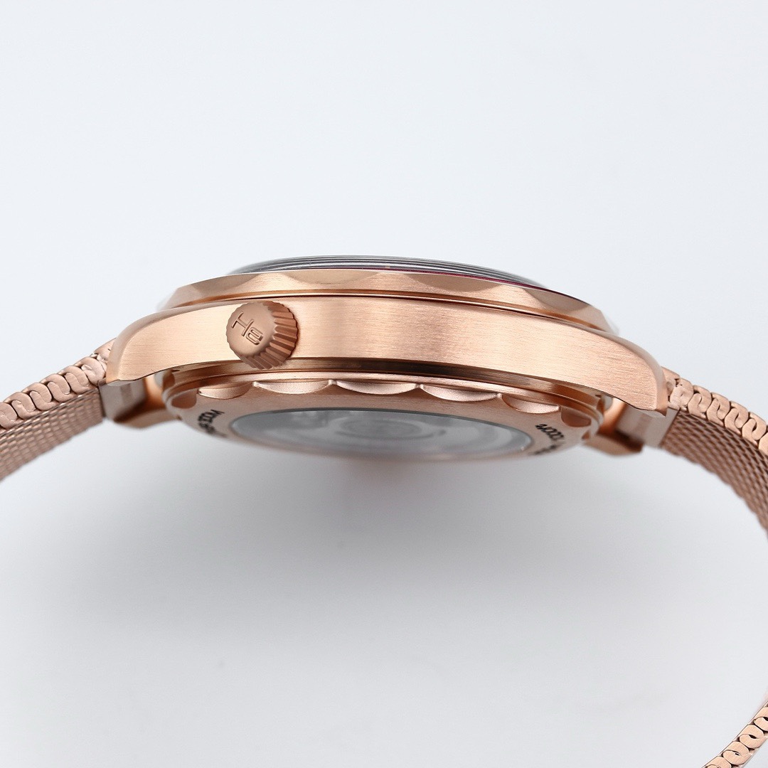Omega Seamaster ER Upgraded Titanium Bronze Gold 007 – Gold Dial Style 01 - Image 7